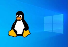 Learn to Install Windows Subsystem for Linux (WSL) 2 on Windows in Two Ways: Online and Offline