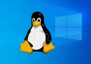 Windows Subsystem for Linux (WSL 2)