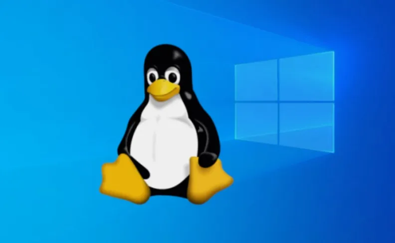 Windows Subsystem for Linux (WSL 2)